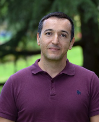 Prof. Dr. Erchan Aptoula